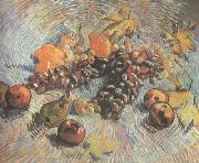 Vincent Van Gogh Still life with Grapes,Apples,Pear and Lemons (nn040 oil on canvas